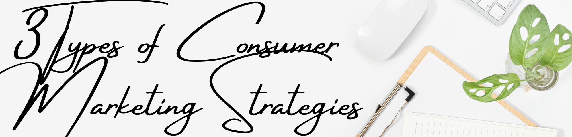 3 Types of Consumer Marketing Strategies