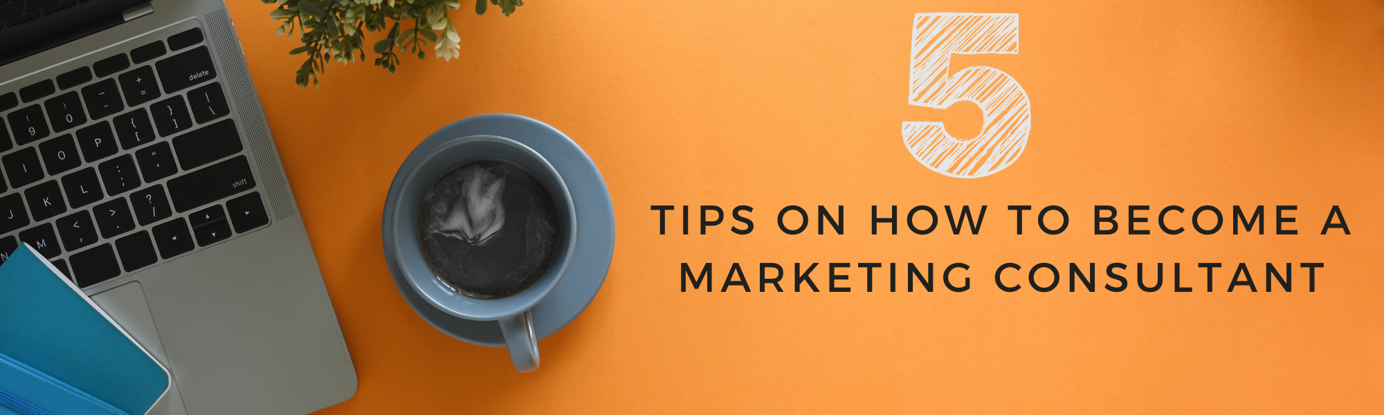 5 Tips on How a tips on How to Become a Marketing Consultant